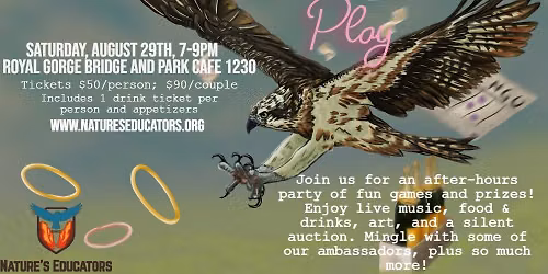 Birds at Play (Birds of Prey Soiree)