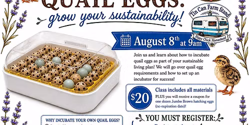 CLASS: Incubating Coturnix Quail Eggs