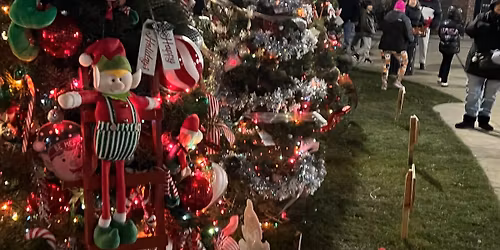 Holiday Tree Lighting Ceremony & Santa & Mrs. Claus Welcome!