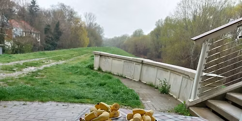 V. Tiszavir\u00e1gz\u00e1s