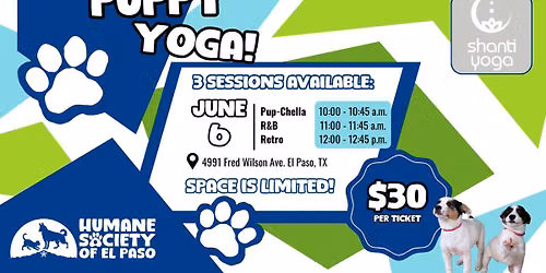 Puppy Yoga with Shanti Yoga - Stretch for Shelter Pets! 