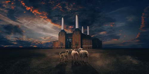 Brit Floyd - Animals 50 World Tour