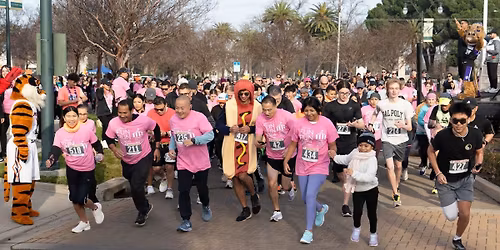 St. Joseph's Fun Run\/Walk for Wellness 2026