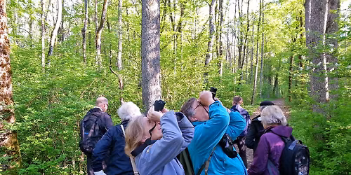 Fuglesangtur i Gullkronene