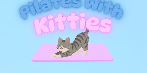 Pilates with Kitties!