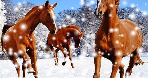 Foreldre og barn dagsleir