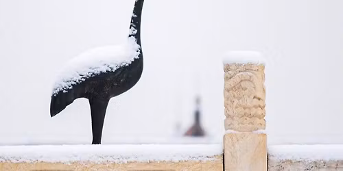 \u6e05\u53f2\u8bfb\u4e66\u4f1a\u7b2c65\u573a\u5bfc\u8bfb\u4f1a