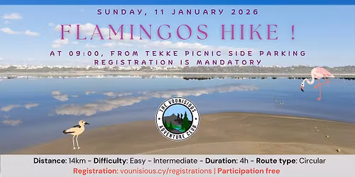 Flamingos Hike !