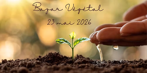 BaZaR V\u00e9g\u00e9taL