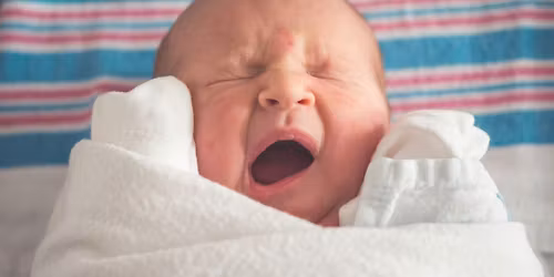 The Prechtl`s General Movement Assessment -\nBasic Course