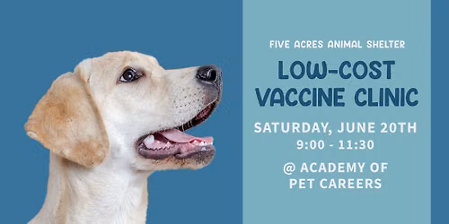 Low-Cost Vaccine & Microchip Clinic