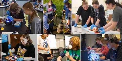 Vincennes Summer STEM Academy Camp