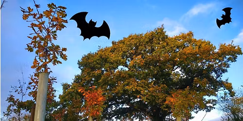 Halloween Tree Planting at Mosshayne Farm
