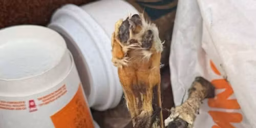 Please call if you have details 