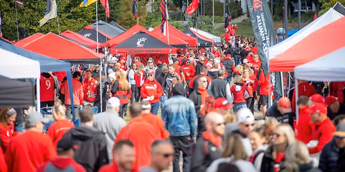 Bearcats on the Grid
