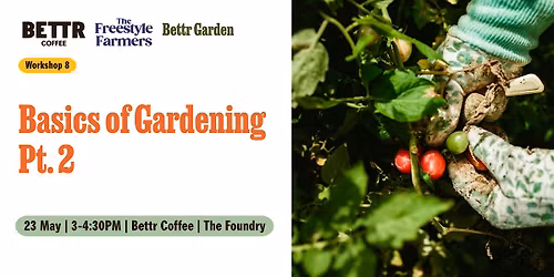 Bettr Garden: Basics of Gardening Part 2