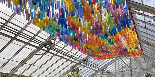 Q-MoB Queer Men's Smith Botanical Bulb Show & Lunch (Northampton, MA)