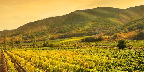 Educators' Escape: Retreat in the Vines