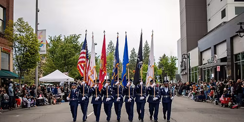2026 Armed Forces Torchlight Parade