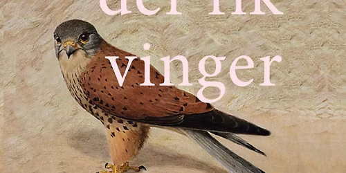 Udgivelsesreception for romanen MANDEN DER FIK VINGER