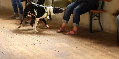 Mantrailing Seminar Spezial - Single Blinds (Landkreis Celle)