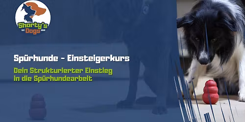 Scent Detection Einsteiger \u2013 Sp\u00fcrhunde Anf\u00e4ngerkurs (Wochenendkurs)
