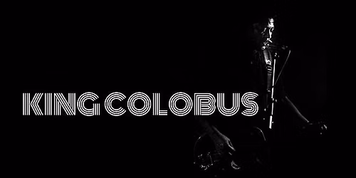 King Colobus (Solo Acoustic) @ The Cove