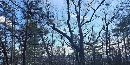 Celebration of Gorges State Park- Transylvania County, NC