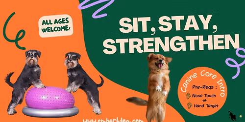 Sit, Stay, Strengthen - Canine Core Intro
