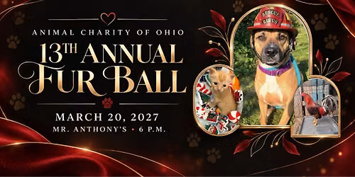 13th Annual Fur Ball