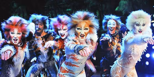 Cats - The Musical