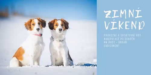 Zimn\u00ed v\u00edkendovka ve Studenci