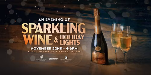 Sparkling Wine & Holiday Lights \ud83e\udd42 \u2728