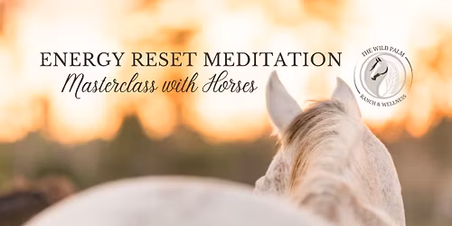 Energy Reset Meditation with Horses!