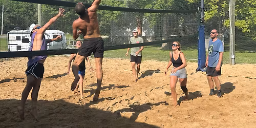VolleyPaw 2026