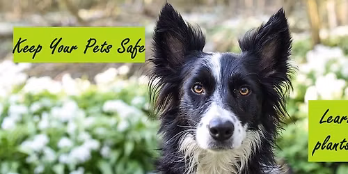 Spring Plant Sale and Farmer's Market