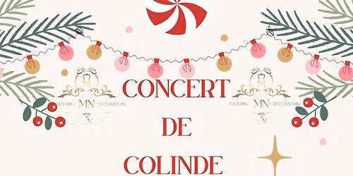 Targ de craciun 2025