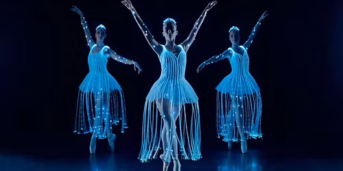 Ballet of Lights: Sleeping Beauty in a Sparkling Show