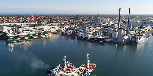 Guidet tur - Skagen Havn i b\u00f8rneh\u00f8jde