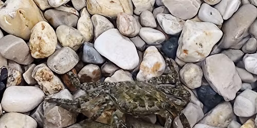 T\u00e1bor jinak- p\u00e1r m\u00edst 