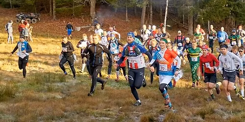 Kneskjælven 2025