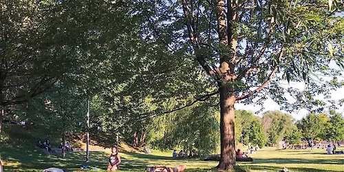 SLOW FLOW + SOUND | Park Yoga & Sound Bath