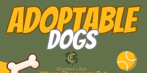 Adoptable Dogs at Champions Pub