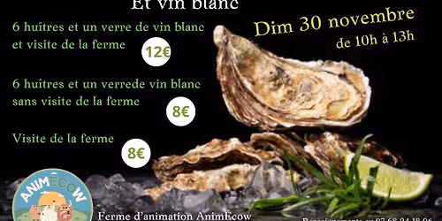 Dégustation d'huîtres 