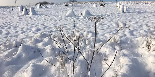 Winter Solstice Ceremony and Celebration at The Land