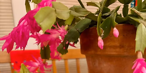 Cheerio Textiles and Friends Open Studio