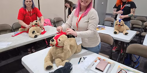 Pet CPR\/First Aid Class 6.5 hour