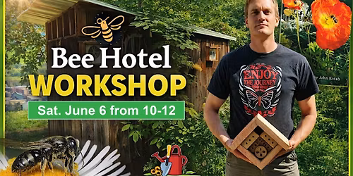 Build a Bee Hotel Workshop: Supporting Native Bees