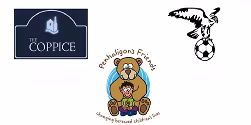 Lanner FC Fundraising Auction - Penhaligon's Friends