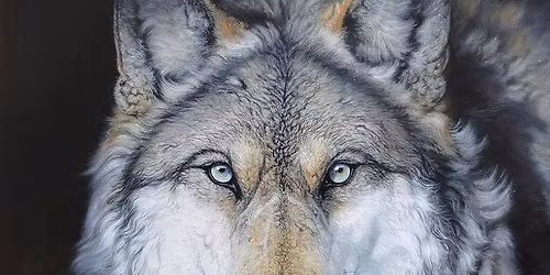 \u2728\ufe0f Wolf \u2728\ufe0f The Sacred Calling\u2728\ufe0f